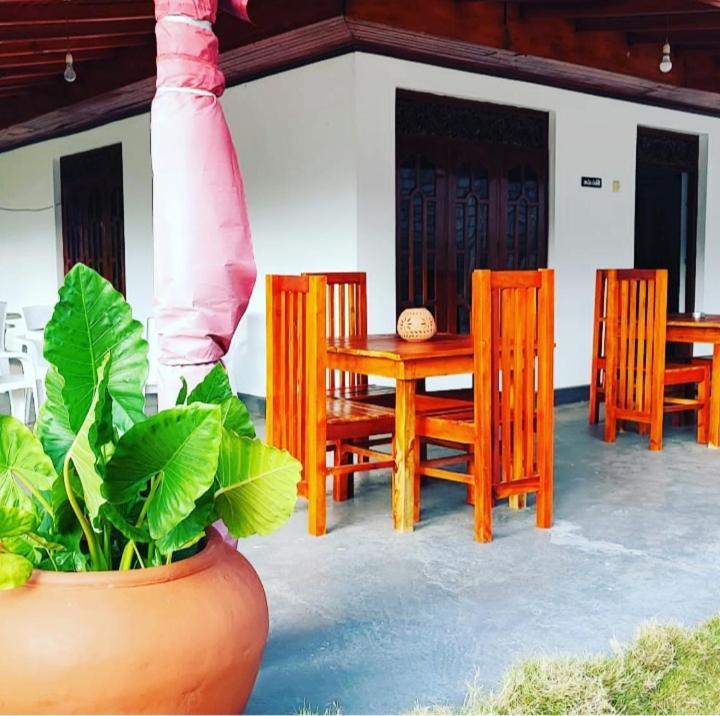 Tharurashmi Sea Pond Villa & Surf Hostel - Hiriketiya Dikwella Exteriér fotografie